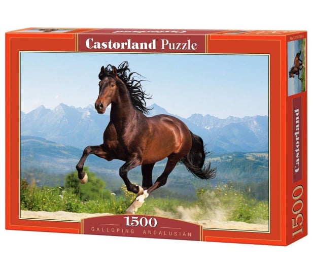 Galloping Andalusian
